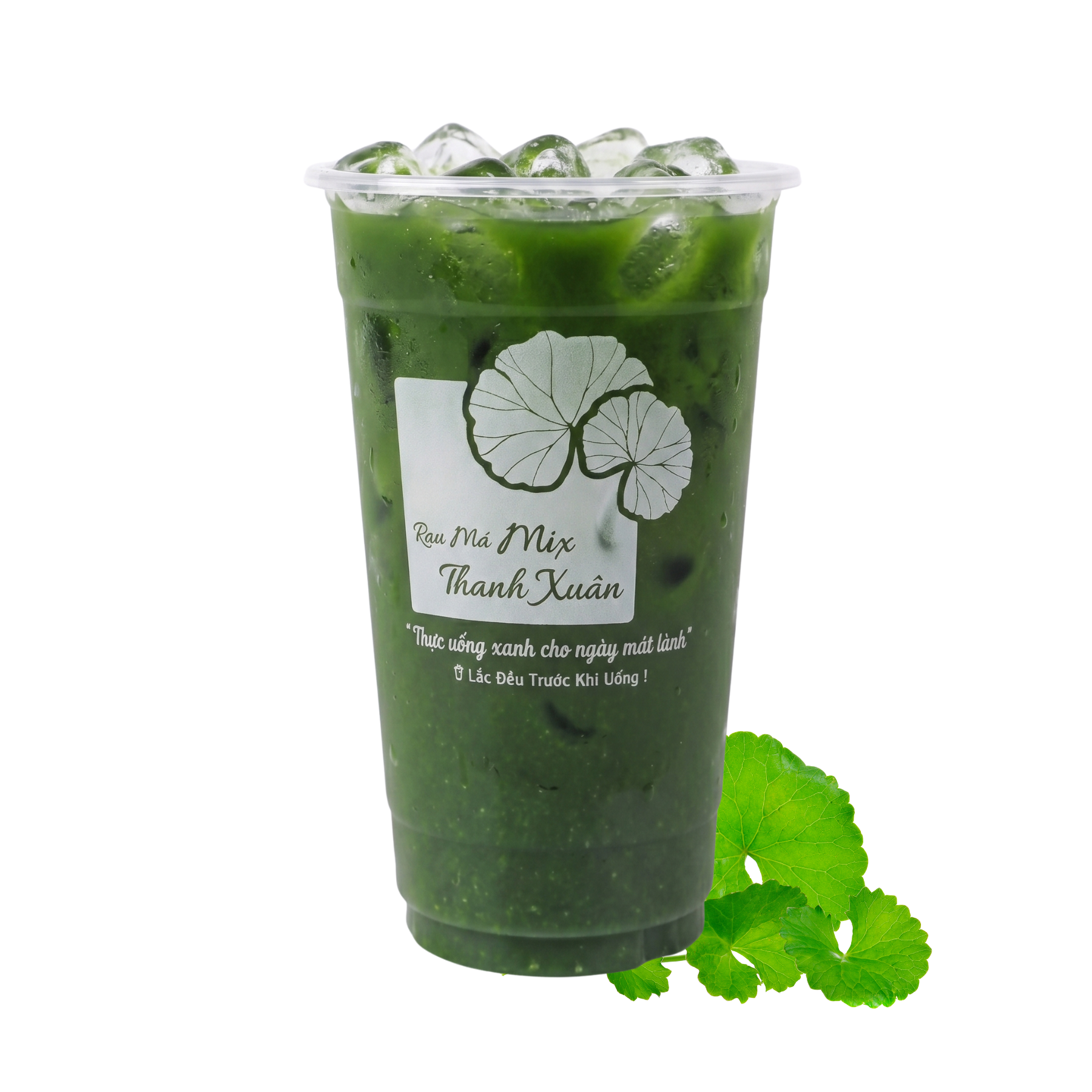 Rau má nguyên chất
