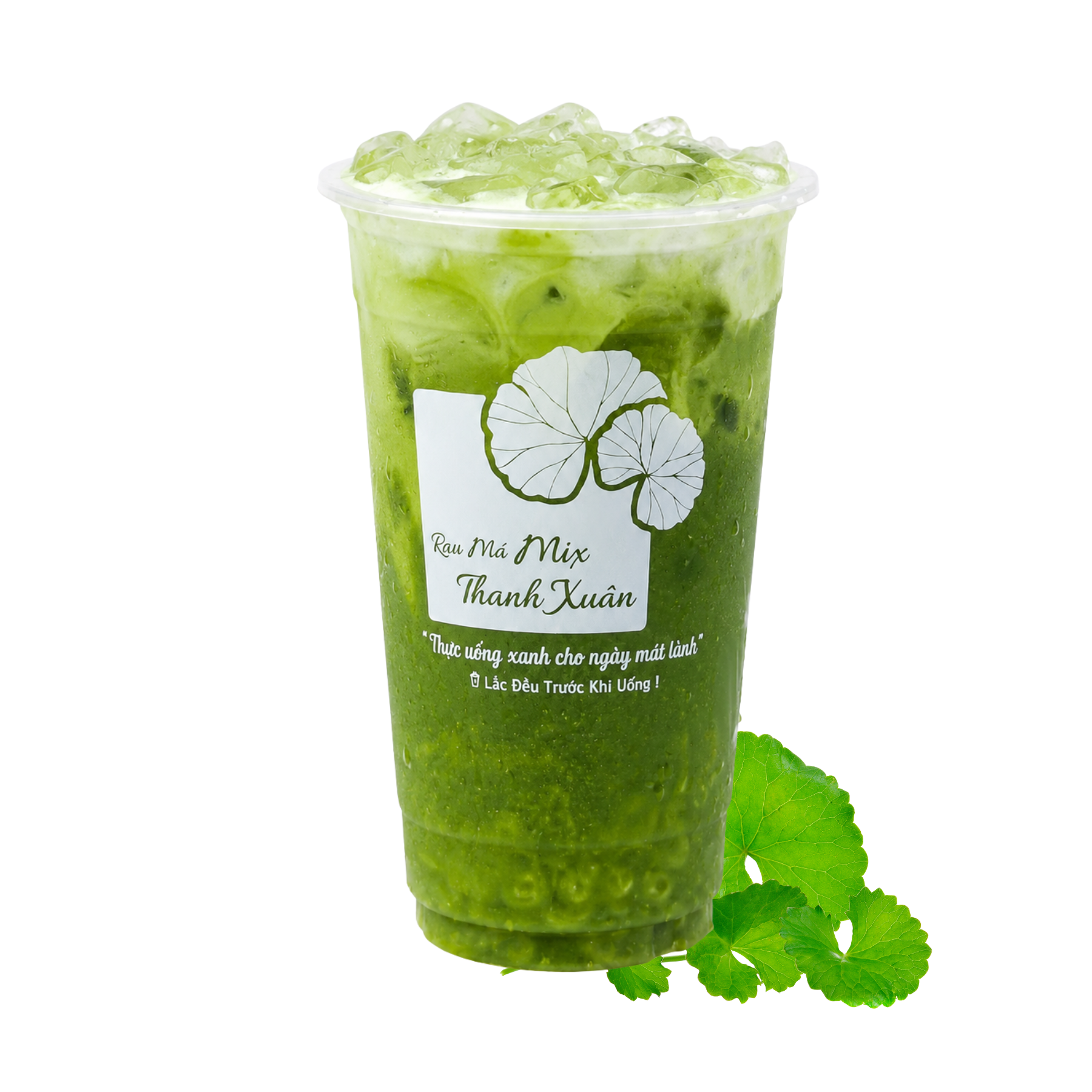 Rau má dừa xiêm
